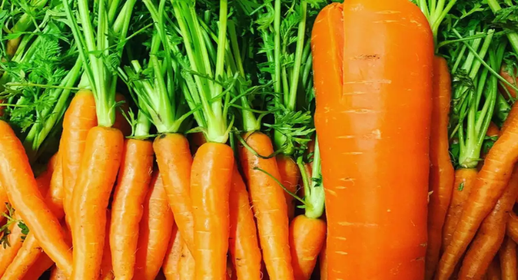 Organic Solutions