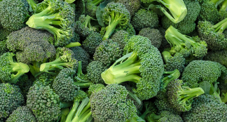 Organic Solutions