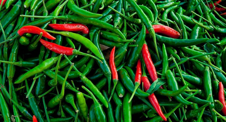 Organic Solutions